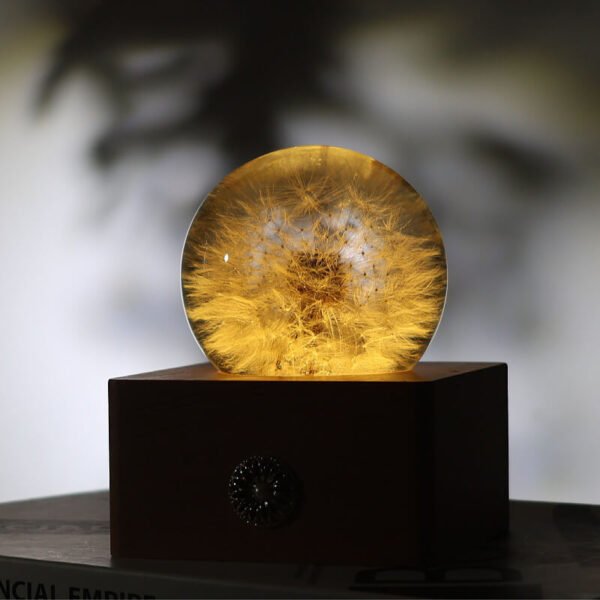 Dandelion Spherical Resin Lamp 1 Dandelion spherical resin lamp 1