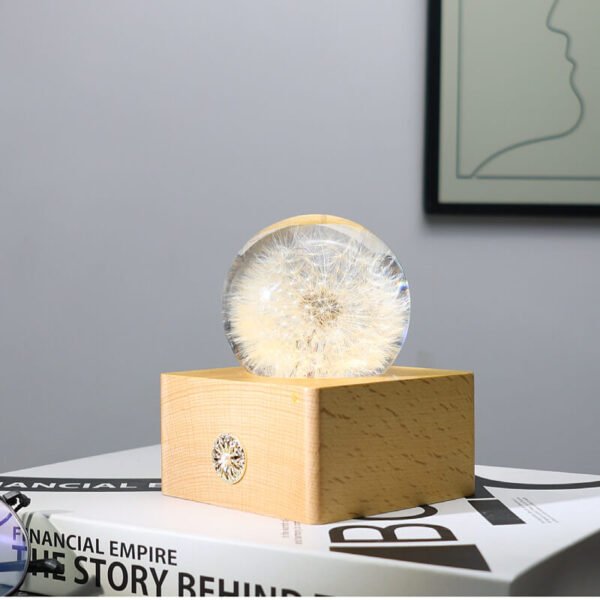 Dandelion Spherical Resin Lamp 2 Dandelion spherical resin lamp 2