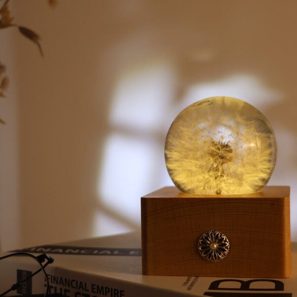 Dandelion Spherical Resin Lamp 4 Dandelion spherical resin lamp 3