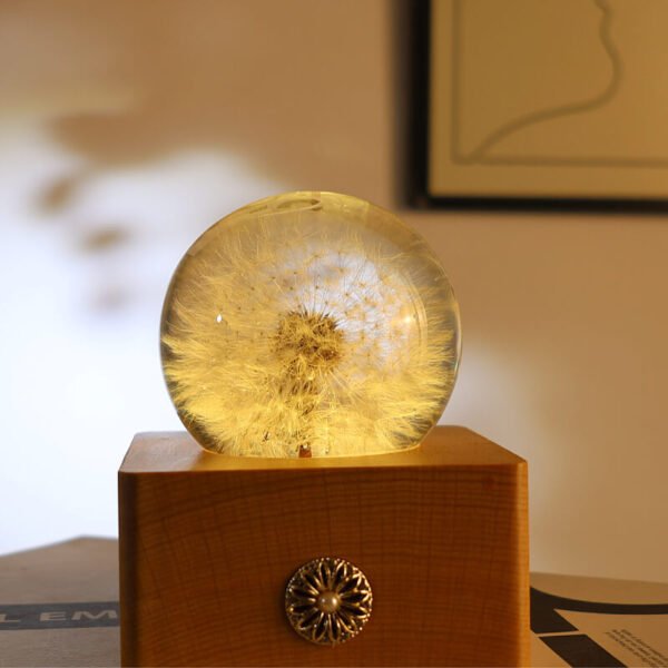 Dandelion Spherical Resin Lamp 3 Dandelion spherical resin lamp 4