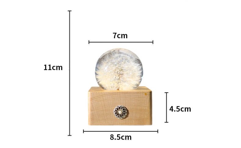 Dandelion Spherical Resin Lamp 7 Dandelion spherical