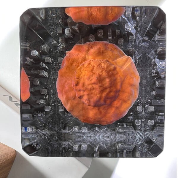 Mushroom cloud resin lamp 1 3