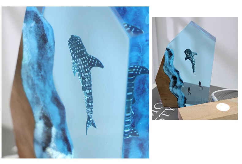 Ocean diver details1 4