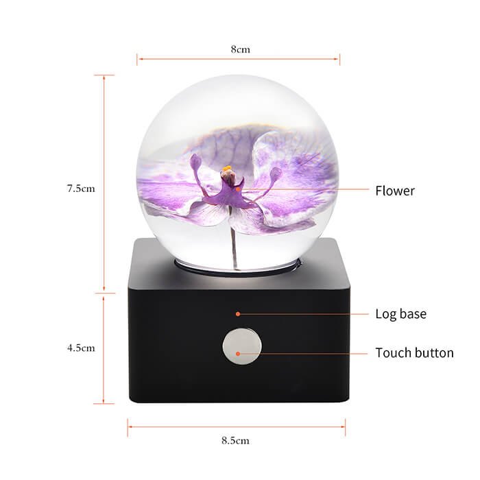 Phalaenopsis Beech Wood Warm Light Resin Lamp 6 hudielan1