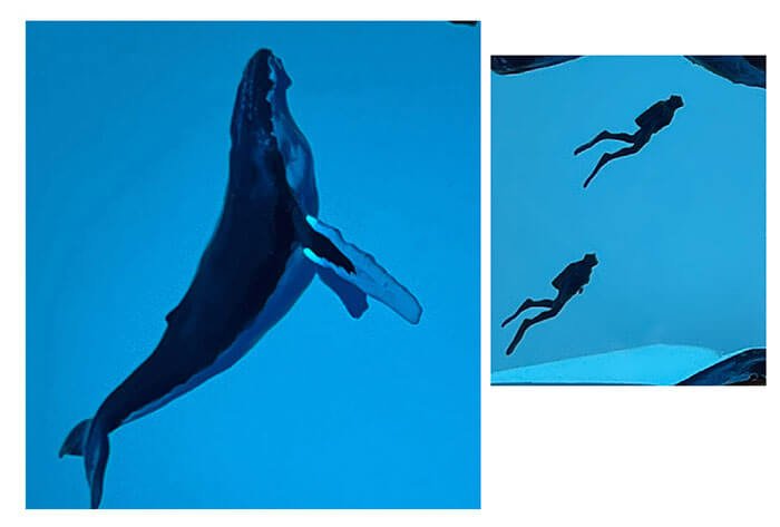 Underwater Whale Resin Lamp1 7