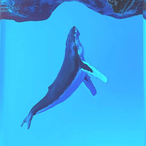 Underwater Whale Resin Lamps 3